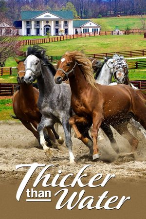 Thicker Than Water's poster