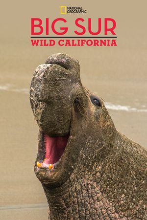 Big Sur-Wild California's poster