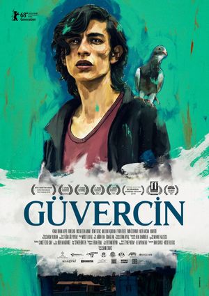 The Pigeon's poster