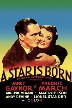 A Star Is Born's poster