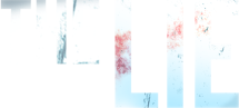 The Lie's poster