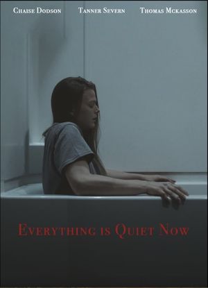 Everything is Quiet Now's poster image