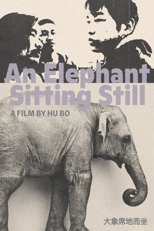 An Elephant Sitting Still's poster