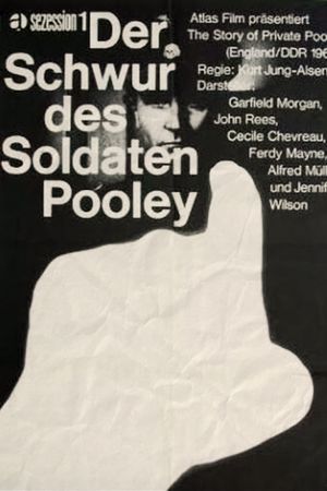 The Survivor's poster