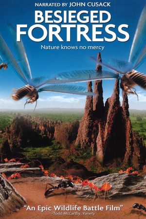 The Besieged Fortress's poster