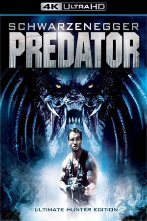 Predator's poster