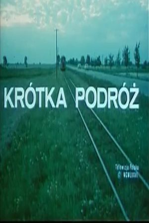 Krótka podróż's poster