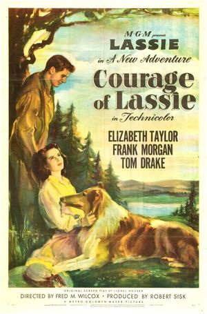 Courage of Lassie's poster