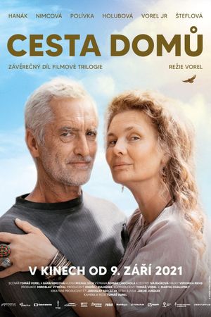 Cesta domu's poster