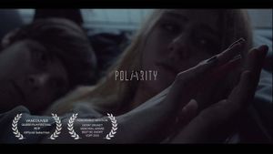 Polarity's poster