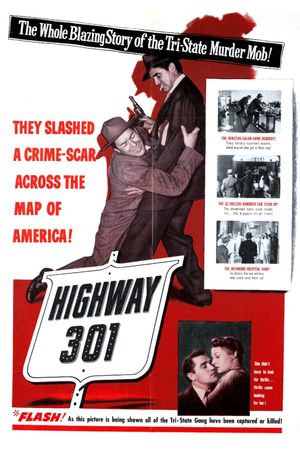 Highway 301's poster