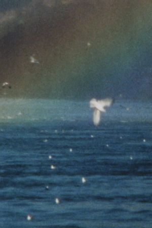 Unter dem Wasserfall's poster