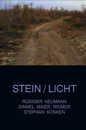 Stein/Licht's poster