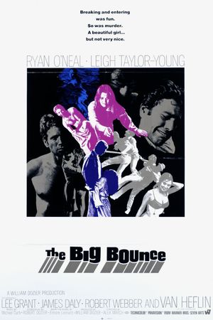 The Big Bounce's poster