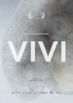 VIVI's poster