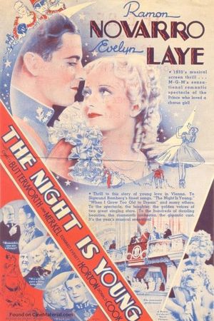The Night Is Young's poster