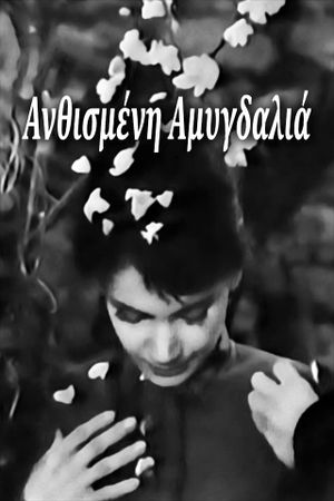 Anthismeni amygdalia's poster
