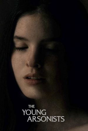 The Young Arsonists's poster