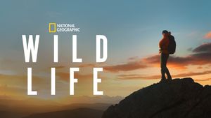 Wild Life's poster