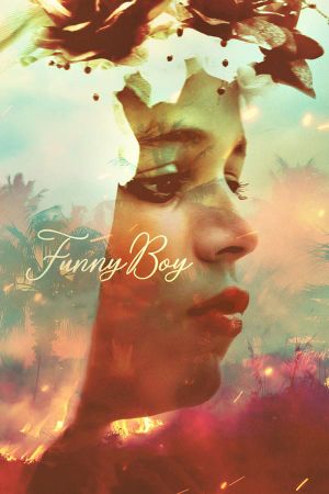 Funny Boy's poster