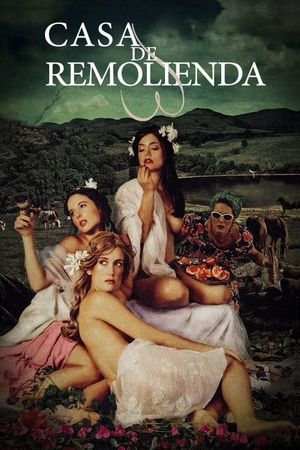 Casa de Remolienda's poster