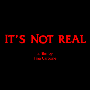 It's Not Real's poster