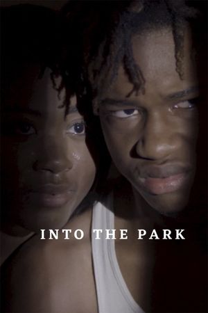 Into the Park's poster