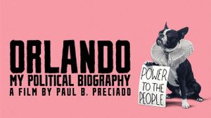 Orlando: My Political Biography's poster