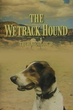 The Wetback Hound's poster image