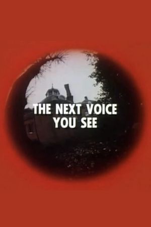 The Next Voice You See's poster