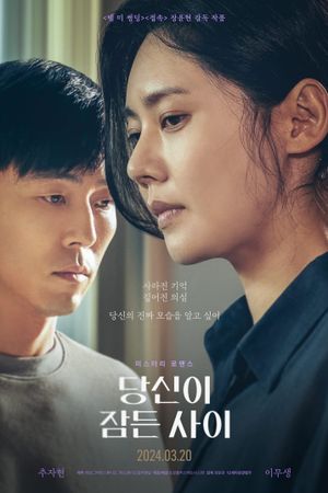 While You Were Sleeping's poster