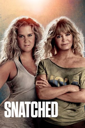 Snatched's poster