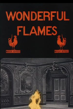 Wonderful Flames's poster