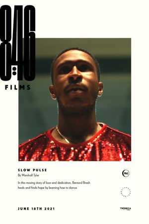 Slow Pulse's poster