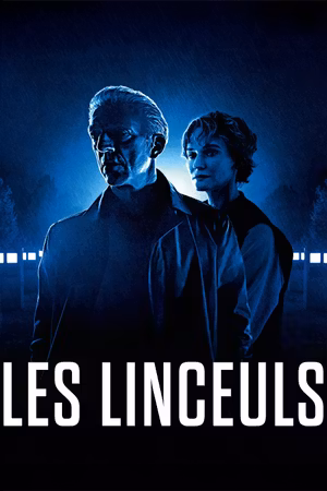 The Shrouds's poster