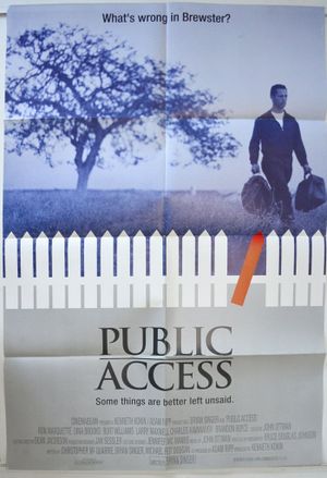 Public Access's poster