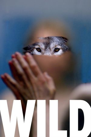 Wild's poster