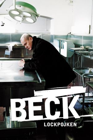Beck 01 - The Decoy Boy's poster