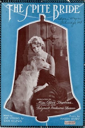 The Spite Bride's poster