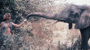 A Life Among Elephants's poster