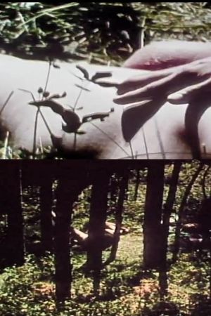 Short Films 1975: #9 (Forest Love Scene)'s poster