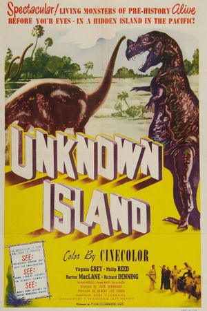 Unknown Island's poster