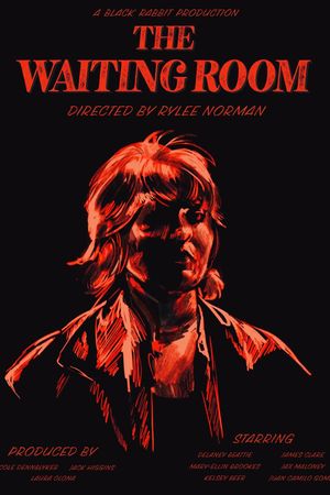 The Waiting Room's poster image