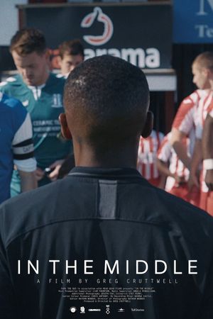 In the Middle's poster
