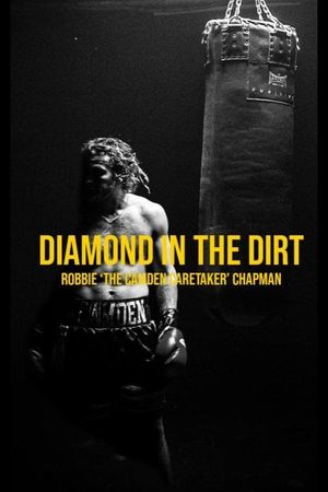 Diamond In The Dirt's poster