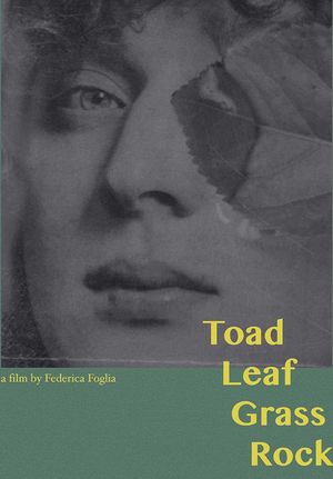 Toad, Leaf, Grass, Rock's poster