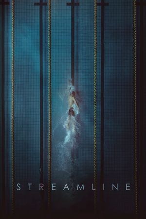 Streamline's poster