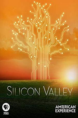 Silicon Valley - Where the Future was Born's poster