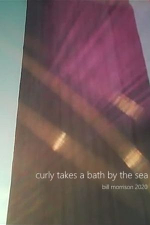 Curly Takes a Bath by the Sea's poster