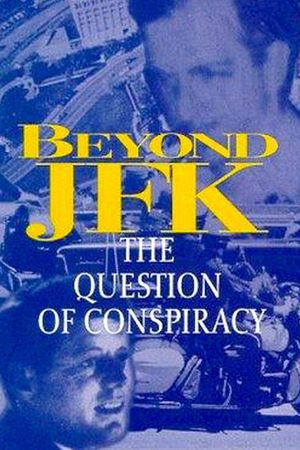 Beyond JFK: The Question of Conspiracy's poster image